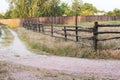 Cattle Grazing Wooden Fence on a Country Road Royalty Free Stock Photo