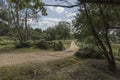 Cattle Grid and Gate New Forest Hampshire UK