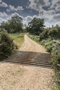 Cattle Grid New Forest Hampshire UK