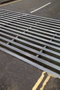 Cattle grid on road