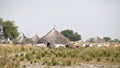 Cattle herding in Sudan
