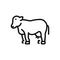 Black line icon for Cattle, animal and beast Royalty Free Stock Photo
