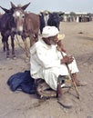 Cattle market in Tafilalet, Morocco Royalty Free Stock Photo