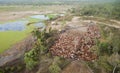 Cattle mustering in Northern Australia. Royalty Free Stock Photo