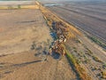 Cattle mustering in outback