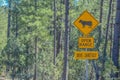 Cattle open range, be careful sign in Tonto National Forest. Payton, Gila County, Arizona USA Royalty Free Stock Photo