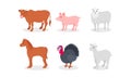 Cattle And Other Farm Animals And Birds Vector Illustration Set Isolated On White Background Royalty Free Stock Photo