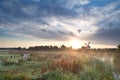 Cattle on pasture and windmill at sunrise