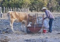 Cattle ranch outside