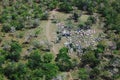 Cattle ranching / Pantanal