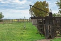 cattle stock yards in a field with green grass Royalty Free Stock Photo