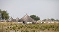 Cattle and villagers, South Sudan