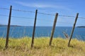 Cattle wire fence Royalty Free Stock Photo