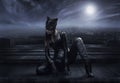 Catwoman Royalty Free Stock Photo