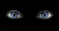 Catwoman eyes Royalty Free Stock Photo