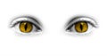 Catwoman yellow eyes Royalty Free Stock Photo
