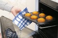 Caucasain woman holding tray with freshly made cupcakes or maffins at the kitchen