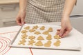 Caucasain woman holding tray with freshly made gingerbread cookies at the kitchen