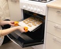 Caucasain woman holding tray with freshly made gingerbread cookies at the kitchen