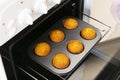 Caucasain woman holding tray with freshly made cupcakes or maffins at the kitchen