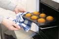 Caucasain woman holding tray with freshly made cupcakes or maffins at the kitchen