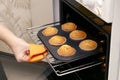 Caucasain woman holding tray with freshly made cupcakes or maffins at the kitchen