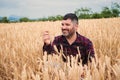 Caucasian adult farmer examining wheat crop, smiling for success at cereal plantation. mature agruculturist working on Royalty Free Stock Photo
