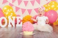 Caucasian baby girl in tutu tulle skirt celebrating her first birthday. Cake smash concept Royalty Free Stock Photo