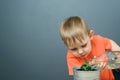 Caucasian blond child boy watering young money tree plant