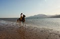 Caucasian blonde girl riding horse at sunset beach Royalty Free Stock Photo