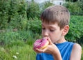Caucasian boy eats pink donut. A child holds a sweet treat in the park. Unhealthy food concept, snacking sweet food Royalty Free Stock Photo