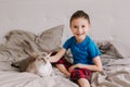 Caucasian boy petting oriental cat. Kid sitting on bed in bedroom at home and stroking a domestic animal friend. Child with  furry Royalty Free Stock Photo