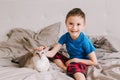 Caucasian boy petting oriental cat. Kid sitting on bed in bedroom at home and stroking domestic animal friend. Child with a furry Royalty Free Stock Photo