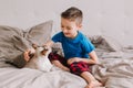 Caucasian boy sitting on bed in bedroom at home and petting stroking oriental cat. Child with domestic furry feline animal. Cute