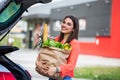 Caucasian brunette going holding paper bags with food products. Young woman putting package with groceries and vegetables into car Royalty Free Stock Photo