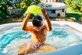 Caucasian child playing with water in an inflatable pool in the home garden at summer evening Royalty Free Stock Photo