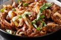 Caucasian cuisine fried chicken offal liver, heart and stomachs with onions, tomatoes and spices close-up in a bowl. horizontal