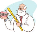 Caucasian dentist showing a dental jaw model and a toothbrush. old man dentist holding a dental jaw model and a toothbrush in