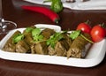 Caucasian dolma is a dish of grape leaves and rice with meat. Serving dolma with yogurt sauce Royalty Free Stock Photo