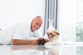 Caucasian elderly kind man playing with shih tzu puppy dog at home with love and care. Senior man with white beard lying on floor Royalty Free Stock Photo