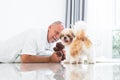 Caucasian elderly kind man playing with shih tzu puppy dog at home. Senior man in white beard lying on floor, smiling, holding Royalty Free Stock Photo