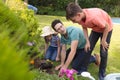 Caucasian family spending time together in the garden, planting Royalty Free Stock Photo