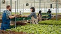 Caucasian farm picker gathering organic green lettuce loading crate on rack pushed by man for delivery