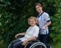 Caucasian female doctor walks with an elderly patient in a wheelchair in the park. Nurse accompanies an old woman on a