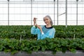 Caucasian female fruit researcher in isolation gown and disposable polyester synthetic fiber Hairnet holding Urea in PET preform