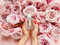 Caucasian female hands with red nails hold bottle of perfume and roses on pink background. Eau de toilette. Mockup, copy space Royalty Free Stock Photo