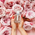Caucasian female hands with red nails hold bottle of perfume and roses on pink background. Eau de toilette. Mockup, copy space, Royalty Free Stock Photo