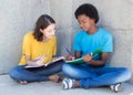 Caucasian female student talking with african american male stud Royalty Free Stock Photo