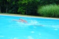 Caucasian female swimmer doing laps in a pool Royalty Free Stock Photo