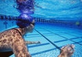 Caucasian female swimmers swimming in pool